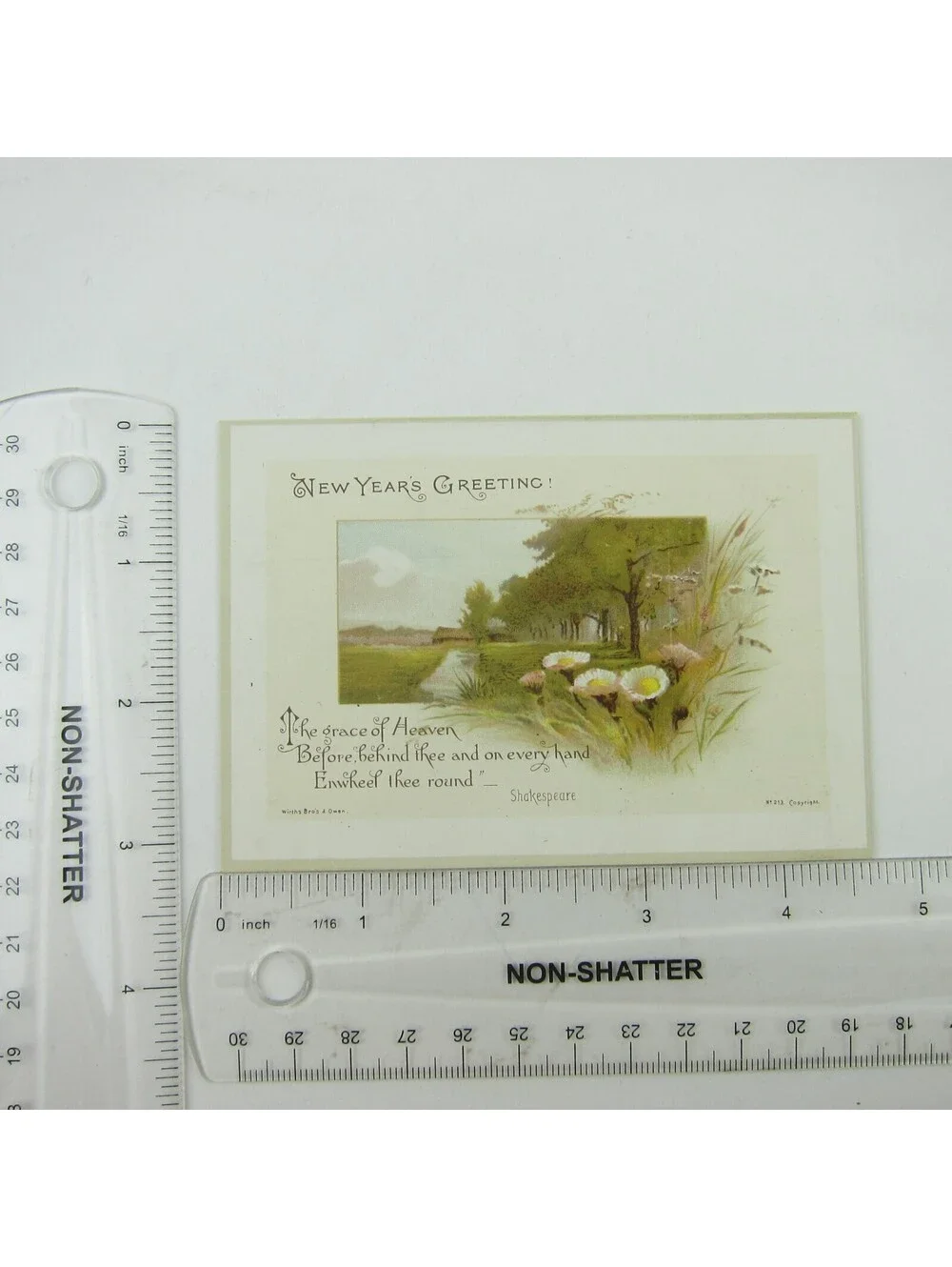Victorian Greeting Card New Years Wirths Bros & Owen House Flowers Trees Antique
